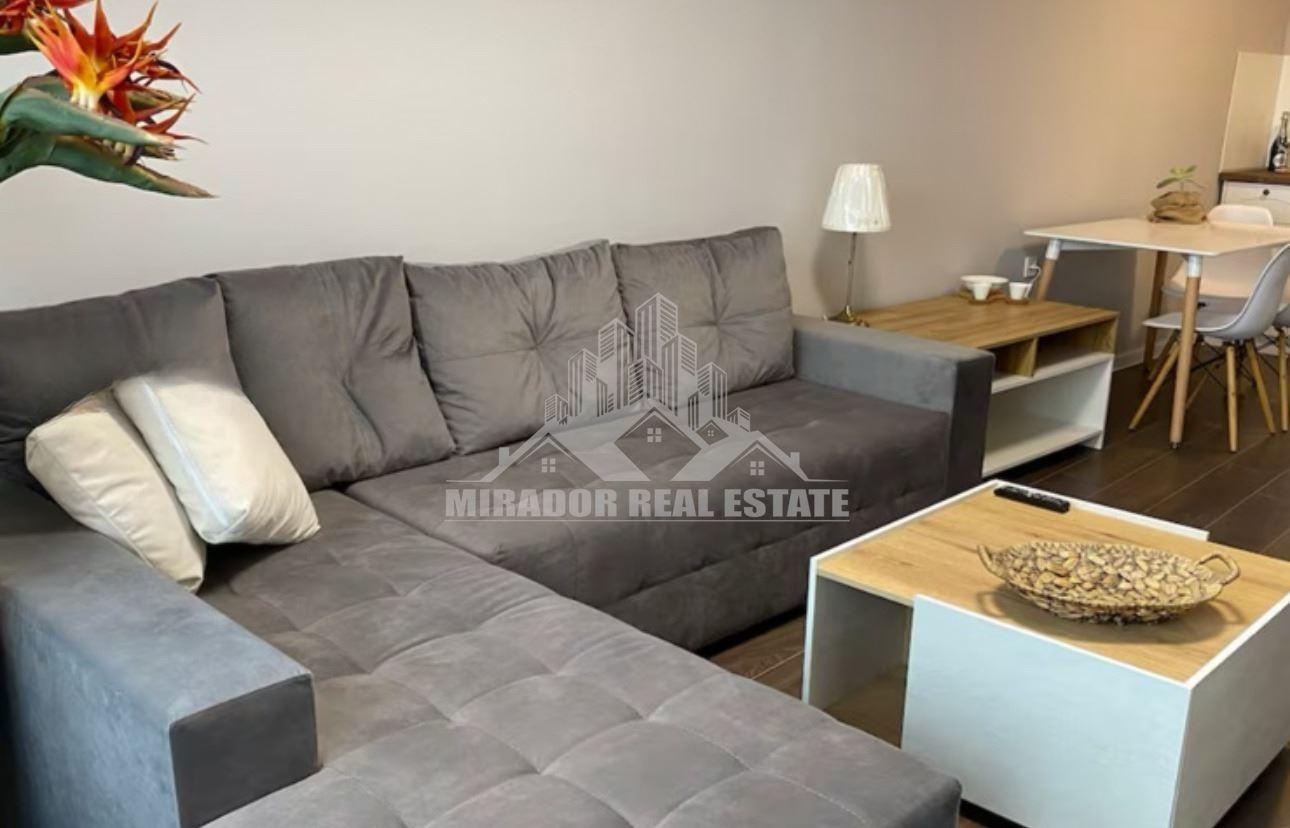 Двустаен обзаведен в кв. Гео Милев - 0