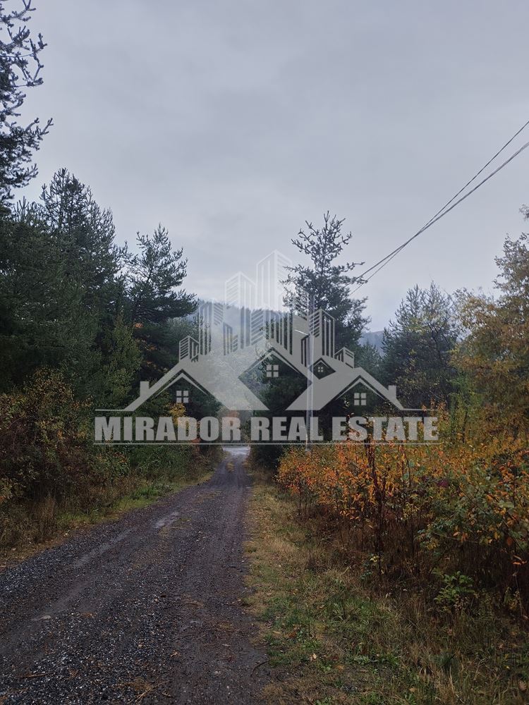 Парцел с ток и вода - 0