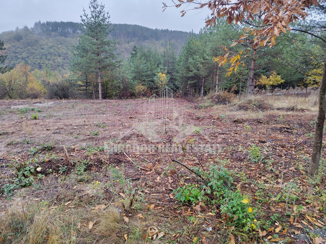 Парцел с ток и вода - 0